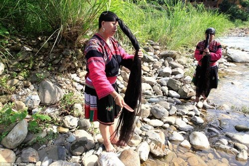 Bên trong ngôi làng phụ nữ chỉ cắt tóc một lần trong đời - 2
Khoảng 60 phụ nữ tại ngôi làng Huangluo đều có tóc dài hơn 1m và một người trong số này có tóc dài tới 2,1 m.