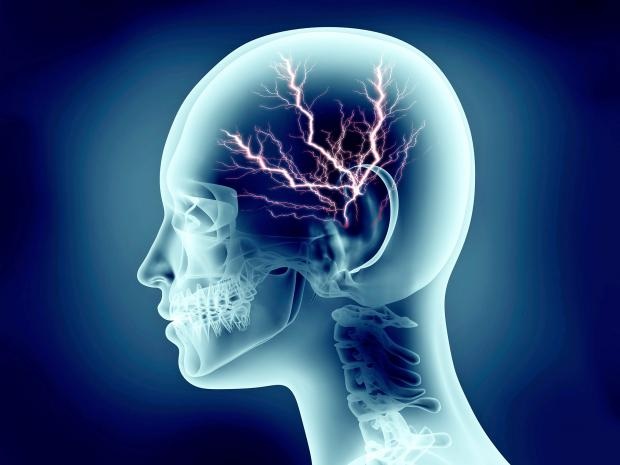 Không ham hoạt động thể chất là dấu hiệu của thông minh? - 1 Không ham hoạt động thể chất là dấu hiệu của thông minh? - 1