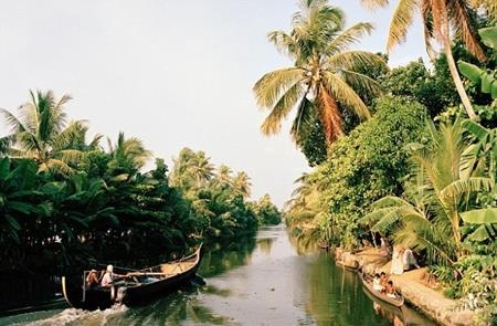 Đau lòng bà mẹ bị hơn 100 con chó hoang tấn công - 1 Bãi biển Kerala là nơi diễn ra thảm kịch đau lòng