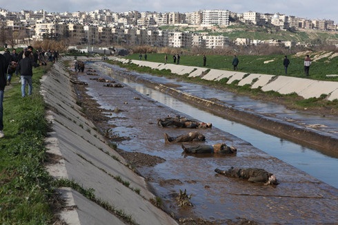 Vì sao cuộc chiến tranh Syria không thể có hồi kết? - 2 Thi thể những nạn nhân do các đợt không kích của các lực lượng ủng hộ chính phủ Syria tại Aleppo vào năm 2013.