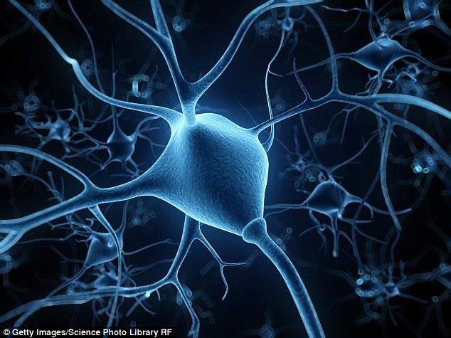 Điều chỉnh hoạt động não để giảm… stress - 1