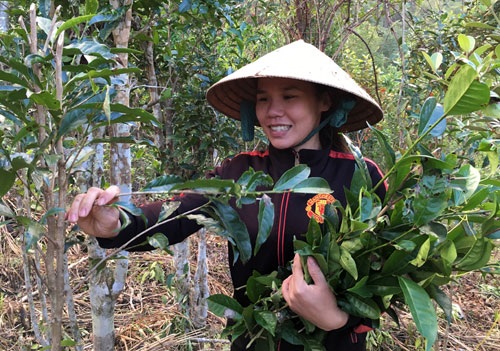 "Bồng bềnh" nhịp sống ở “làng trong mây” - 2 "Bồng bềnh" nhịp sống ở “làng trong mây” - 2