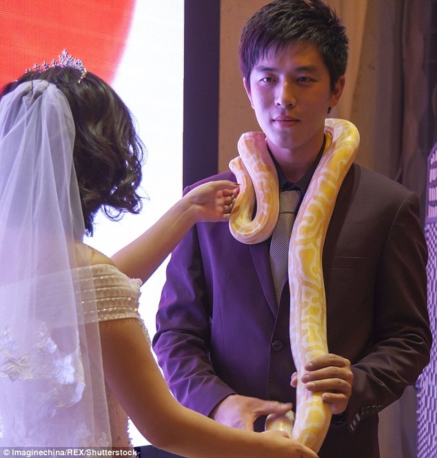 
Cô dâu đeo nhẫn trăn lên cổ chú rể.
