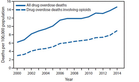 5 sự thật gây sửng sốt về việc sử dụng thuốc giảm đau nhóm Opiod ở Mỹ - 2 5 sự thật gây sửng sốt về việc sử dụng thuốc giảm đau nhóm Opiod ở Mỹ - 2