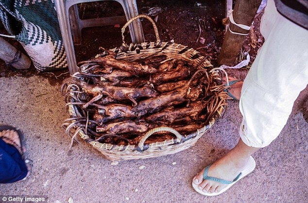 Kinh hoàng đi chợ thịt rắn, thịt dơi ở Indonesia - 10 Kinh hoàng đi chợ thịt rắn, thịt dơi ở Indonesia - 10