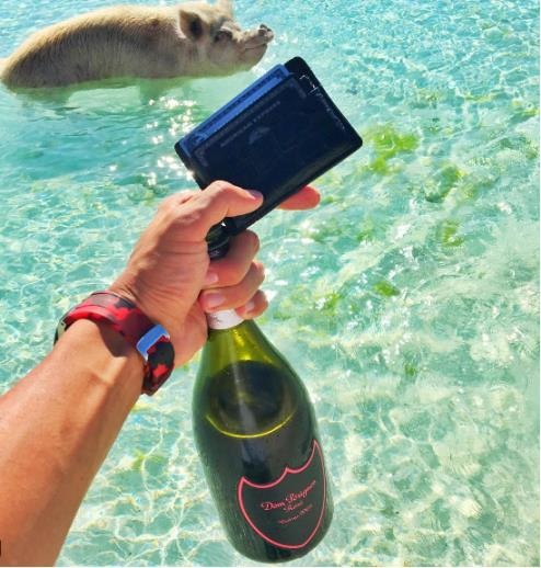 Kỳ nghỉ hè sang chảnh của hội con nhà giàu - 10 Chào một chú lợn đang bơi bằng một chai Dom Perignon đắt tiền