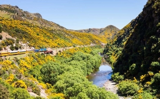 13 lý do khiến New Zealand là đất nước tuyệt vời nhất - 11 13 lý do khiến New Zealand là đất nước tuyệt vời nhất - 11