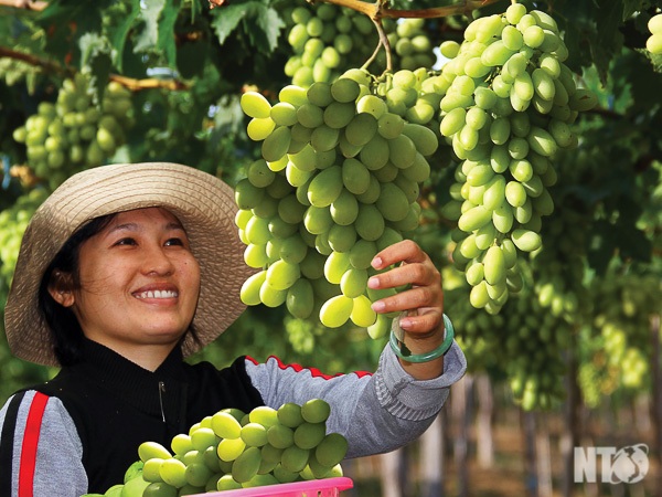 Đột nhập vào "thủ phủ" của "nữ hoàng" trên vùng đất nắng - 7 Đột nhập vào "thủ phủ" của "nữ hoàng" trên vùng đất nắng - 7