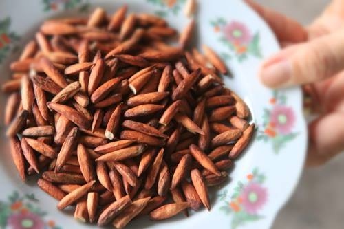 6 điều thú vị nên trải nghiệm khi lần đầu đến Côn Đảo - 15 6 điều thú vị nên trải nghiệm khi lần đầu đến Côn Đảo - 15