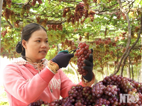 Đột nhập vào "thủ phủ" của "nữ hoàng" trên vùng đất nắng - 8 Đột nhập vào "thủ phủ" của "nữ hoàng" trên vùng đất nắng - 8