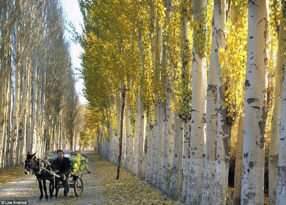 Khám phá nền văn hóa của 100 quốc gia qua bộ ảnh tuyệt đẹp! - 19 Khám phá nền văn hóa của 100 quốc gia qua bộ ảnh tuyệt đẹp! - 19