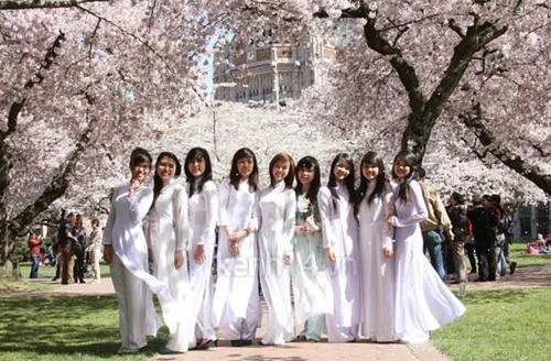 Bài toán chi phí và cơ hội của việc du học Nhật Bản - 2 Bài toán chi phí và cơ hội của việc du học Nhật Bản - 2