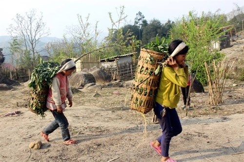 Kỳ lạ nơi con dâu không được ngồi cùng mâm, đi cùng xe với bố chồng - 3 Những “a nhí” Hà Nhì này có cuộc sống vất vả ngay từ nhỏ.