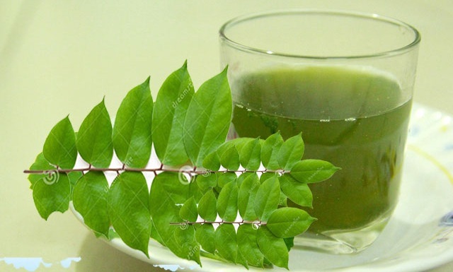 Dùng lá khế chữa dị ứng thế nào cho hiệu quả? - 2 Sắc uống lá khế giúp phòng ngừa tái phát các triệu chứng dị ứng, mẩn ngứa