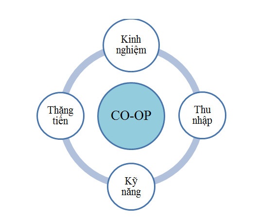 Chương trình thực tập hưởng lương Internship và Co-op Mỹ - 2 Chương trình thực tập hưởng lương Internship và Co-op Mỹ - 2