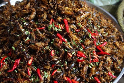 Những món đặc sản phải thử khi đến Yên Bái - 4 Những món đặc sản phải thử khi đến Yên Bái - 4