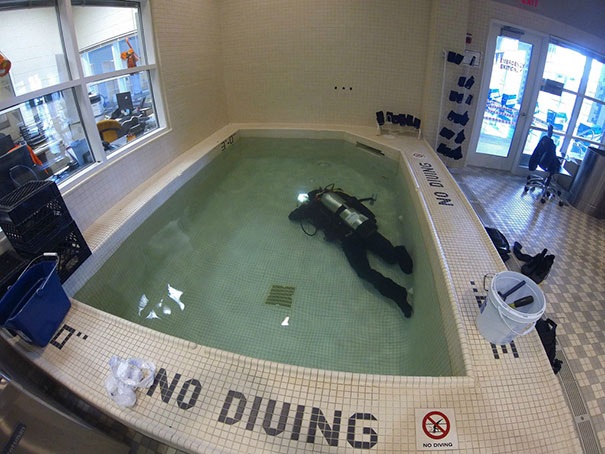 Dường như dòng chữ cảnh báo “Không được lặn” không thể ngăn nổi niềm đam mê của anh thợ lặn này.