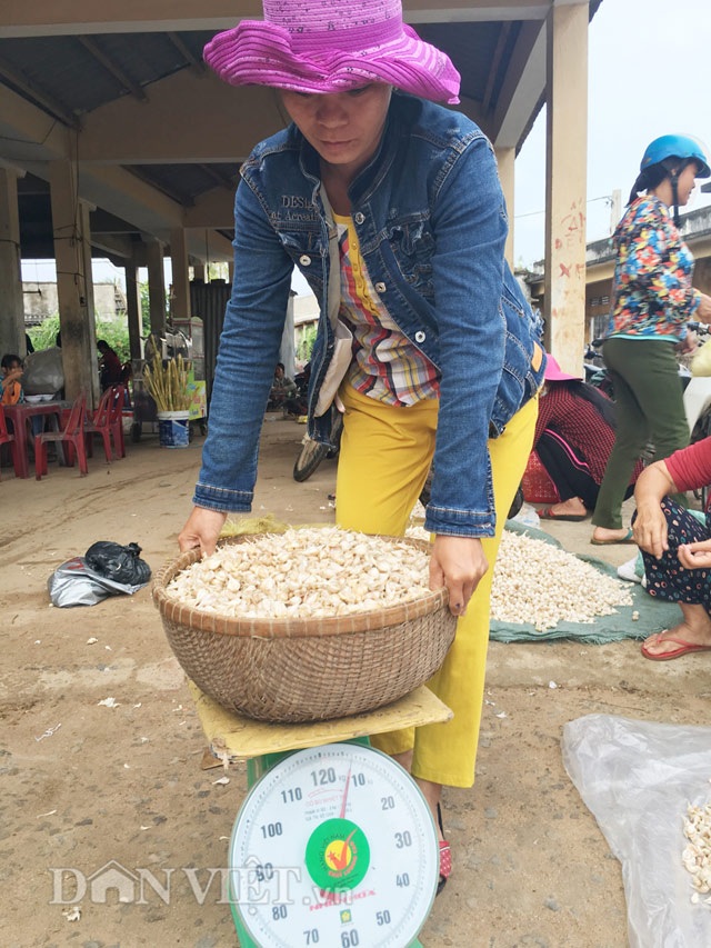Giá đội đỉnh, một bao "vàng trắng" hơn 4 chỉ vàng - 4 Sau khi thu mua.