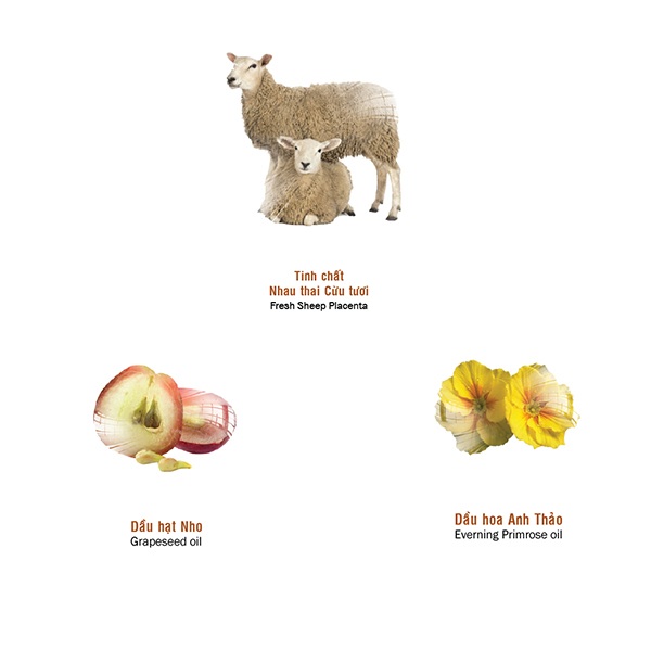 Bí quyết dưỡng da giúp nàng luôn rạng rỡ như hoa - 3 Bí quyết dưỡng da giúp nàng luôn rạng rỡ như hoa - 3