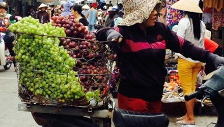 Tám loại hoa quả Trung Quốc nhập về Việt Nam nhiều nhất - 4