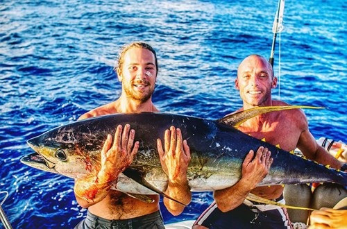 
 Will và bạn bè đã du hí khắp đại dương suốt 18 tháng qua.
