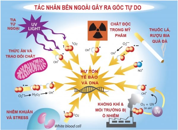 Gốc tự do - "Kẻ giấu mặt" gây ung thư và tàn phá sắc đẹp - 3 Những tác nhân gây ra gốc tự do đến từ môi trường