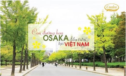 Dự án Osaka Complex đem một góc Nhật Bản đến phía nam Hà Nội - 3