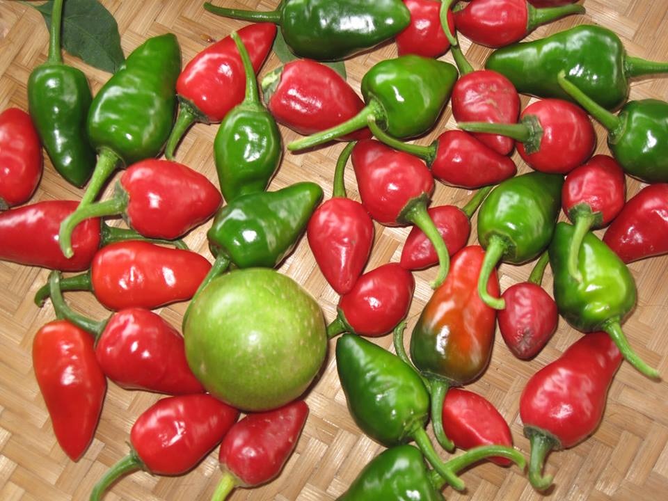 Một ngày làm nông dân siêu sướng ở trang trại ngoại ô - 17 Một ngày làm nông dân siêu sướng ở trang trại ngoại ô - 17