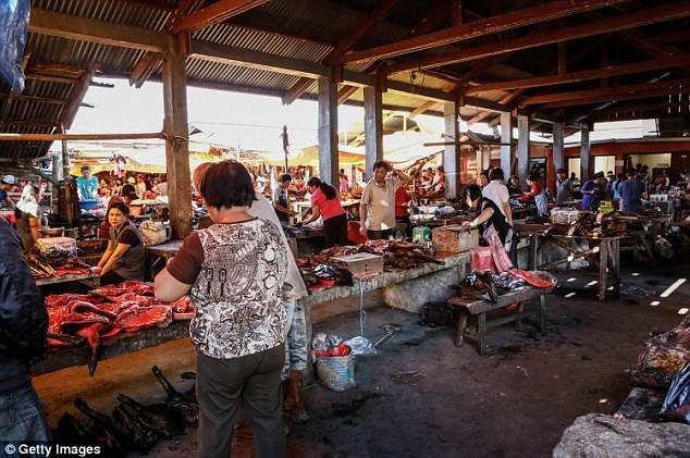 Kinh hoàng đi chợ thịt rắn, thịt dơi ở Indonesia - 4 Kinh hoàng đi chợ thịt rắn, thịt dơi ở Indonesia - 4