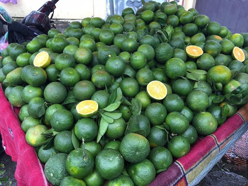 Tám loại hoa quả Trung Quốc nhập về Việt Nam nhiều nhất - 5