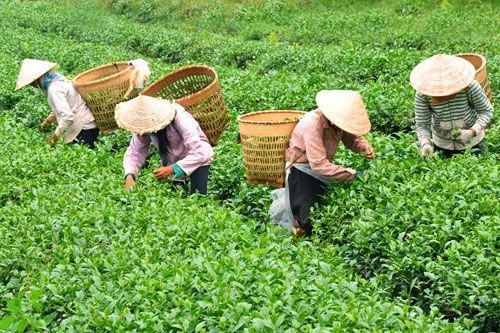 Đắk Nông điểm đến lý tưởng mùa Thu - 4 Đắk Nông điểm đến lý tưởng mùa Thu - 4