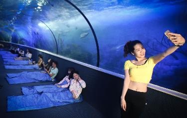 Trào lưu "ngủ dưới đáy biển" đã có mặt tại Việt Nam - 5 Selfie để lưu giữ những khoảnh khắc khó quên