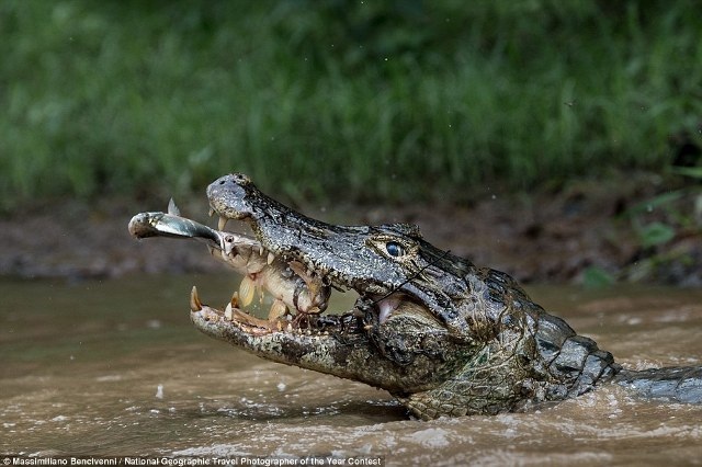 Những bức ảnh đạt giải Ảnh du lịch ấn tượng của National Geographic 2016 - 6 Những bức ảnh đạt giải Ảnh du lịch ấn tượng của National Geographic 2016 - 6