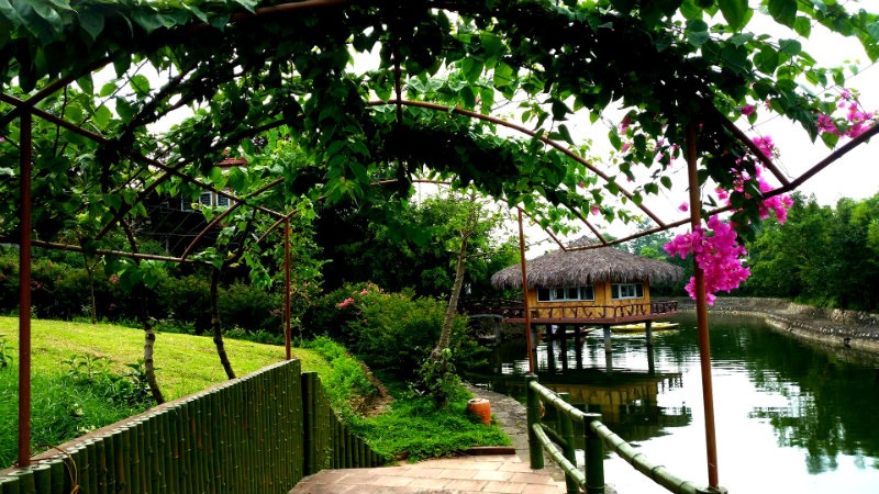 Một ngày làm nông dân siêu sướng ở trang trại ngoại ô - 25 Một ngày làm nông dân siêu sướng ở trang trại ngoại ô - 25