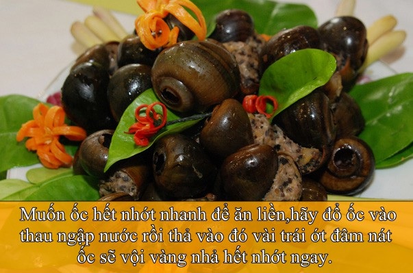Những mẹo vặt cho cuộc sống dễ dàng hơn - 7 Những mẹo vặt cho cuộc sống dễ dàng hơn - 7