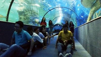 Trào lưu "ngủ dưới đáy biển" đã có mặt tại Việt Nam - 7 Những trò chơi team building sôi nổi mang đến bầu không khí vô cùng thoải mái và giúp kết nối các thành viên trước khi chìm vào giấc ngủ