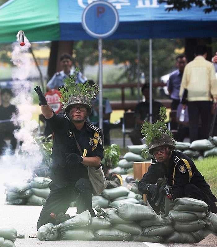 Cuộc tập trận khiến Triều Tiên nổi đóa - 8 Ảnh: Yonhap