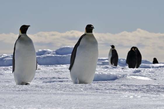 10 địa chỉ du lịch ấn tượng nhất thế giới - 8