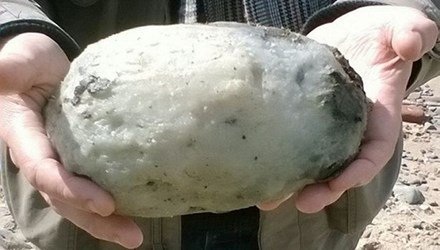 Đào rẫy cà phê, được khối đá quý 20 tấn giá chục tỷ - 9 Hòn đá có mùi cá chết giá 50.000 bảng Anh