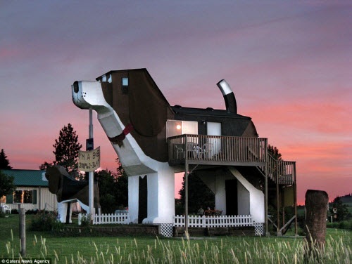 Những ngôi nhà hình động vật kỳ dị nhất thế giới - 7
Khách sạn Dog Bark Park Inn được xây dựng tại thành phố Cottonwood, bang Indiana, Mỹ. Đây là công trình do cặp đôi Frances Conklin và Dennis Sullivan thiết kế với hình dạng giống những chú chó cưng của họ.