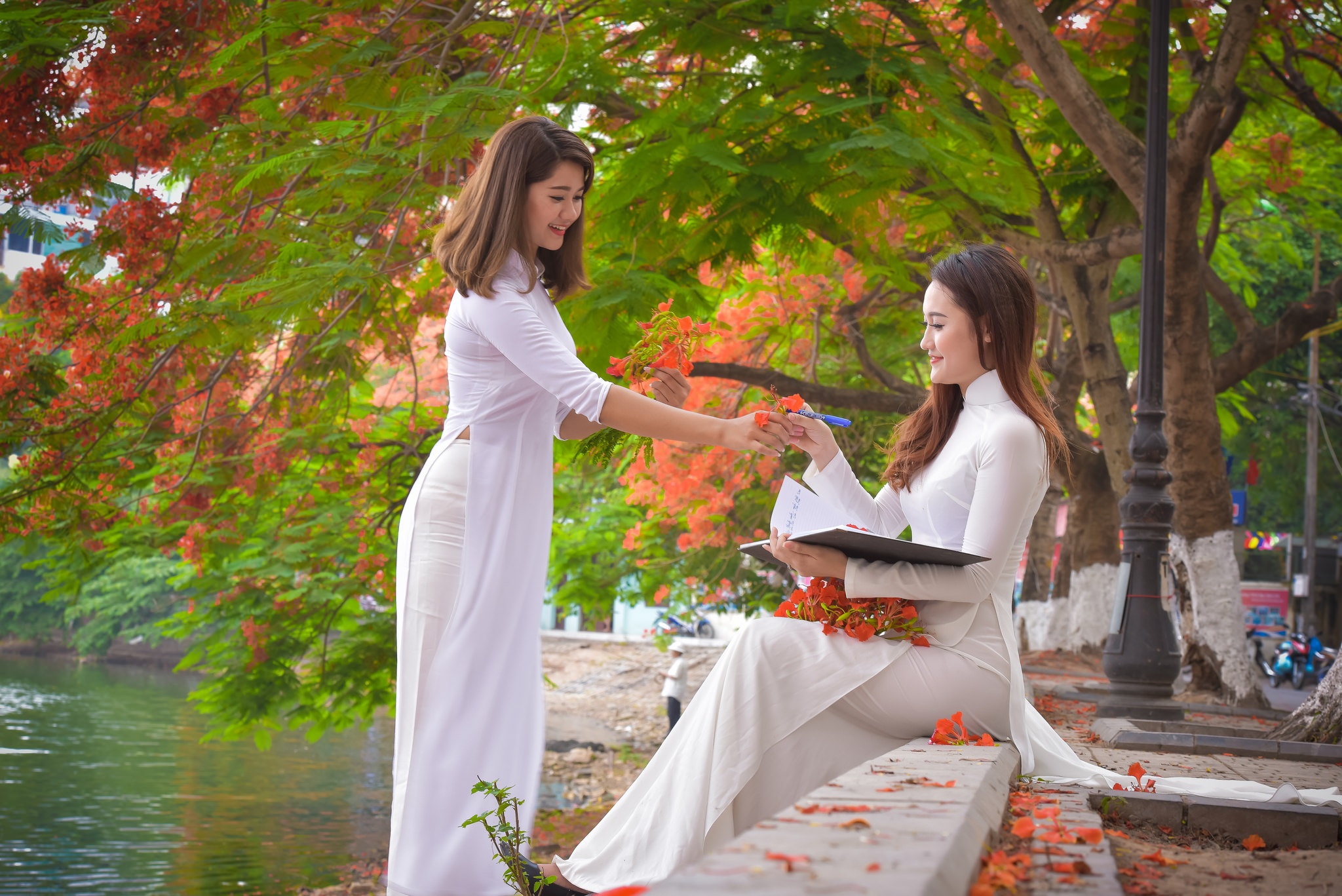 Thiếu nữ Hà thành mơ màng bên hoa phượng "rực cháy" - 4 Thiếu nữ Hà thành mơ màng bên hoa phượng "rực cháy" - 4