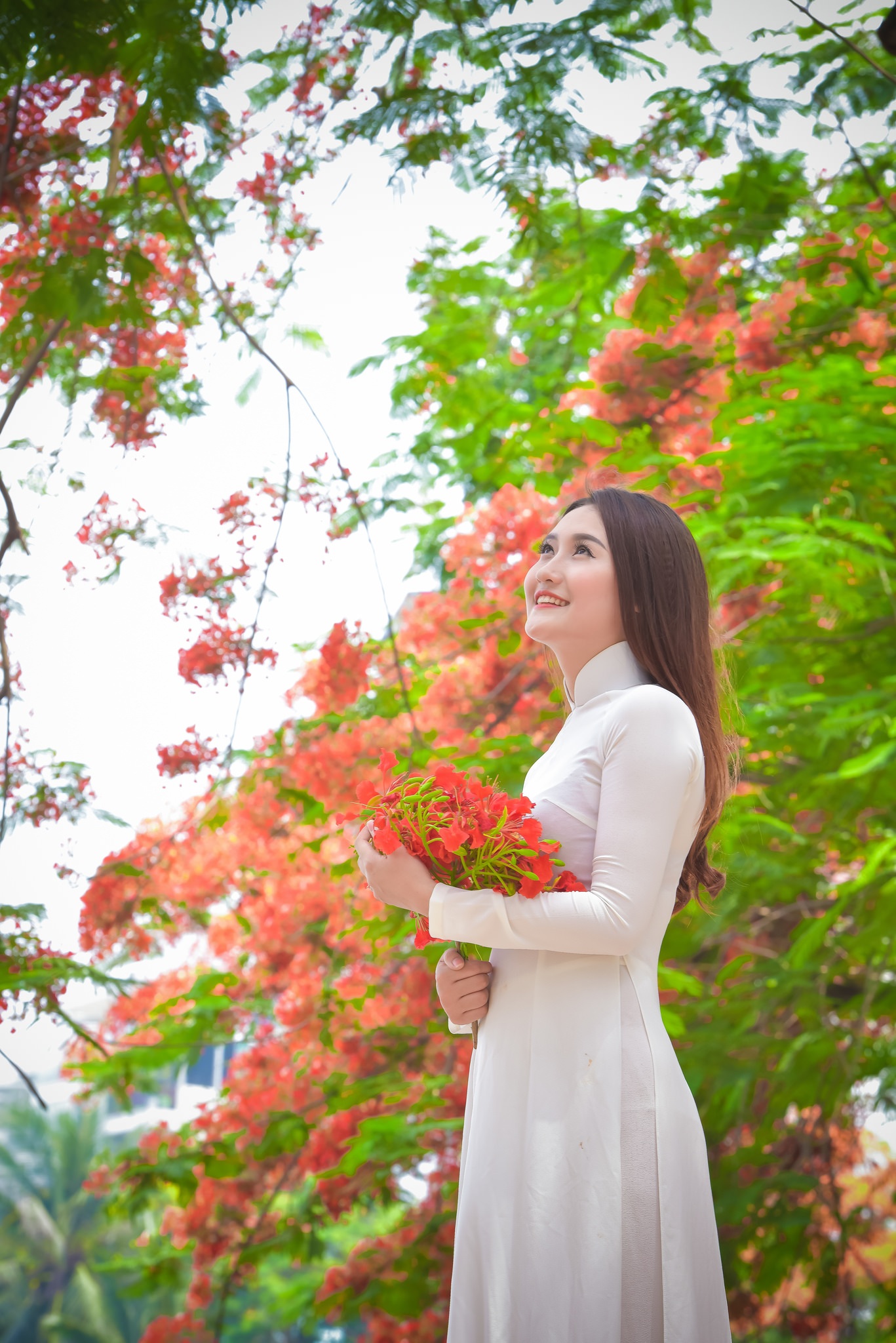 Thiếu nữ Hà thành mơ màng bên hoa phượng "rực cháy" - 5 Thiếu nữ Hà thành mơ màng bên hoa phượng "rực cháy" - 5