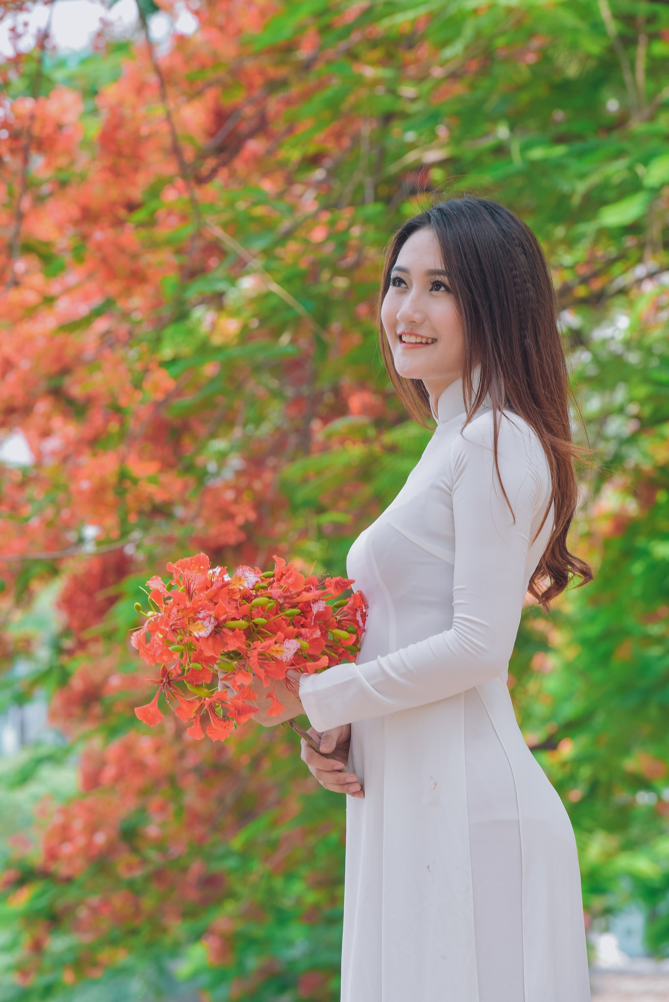 Thiếu nữ Hà thành mơ màng bên hoa phượng "rực cháy" - 7 Thiếu nữ Hà thành mơ màng bên hoa phượng "rực cháy" - 7
