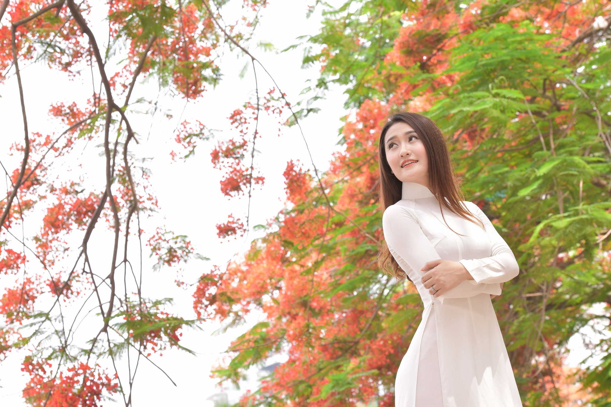 Thiếu nữ Hà thành mơ màng bên hoa phượng "rực cháy" - 10 Thiếu nữ Hà thành mơ màng bên hoa phượng "rực cháy" - 10