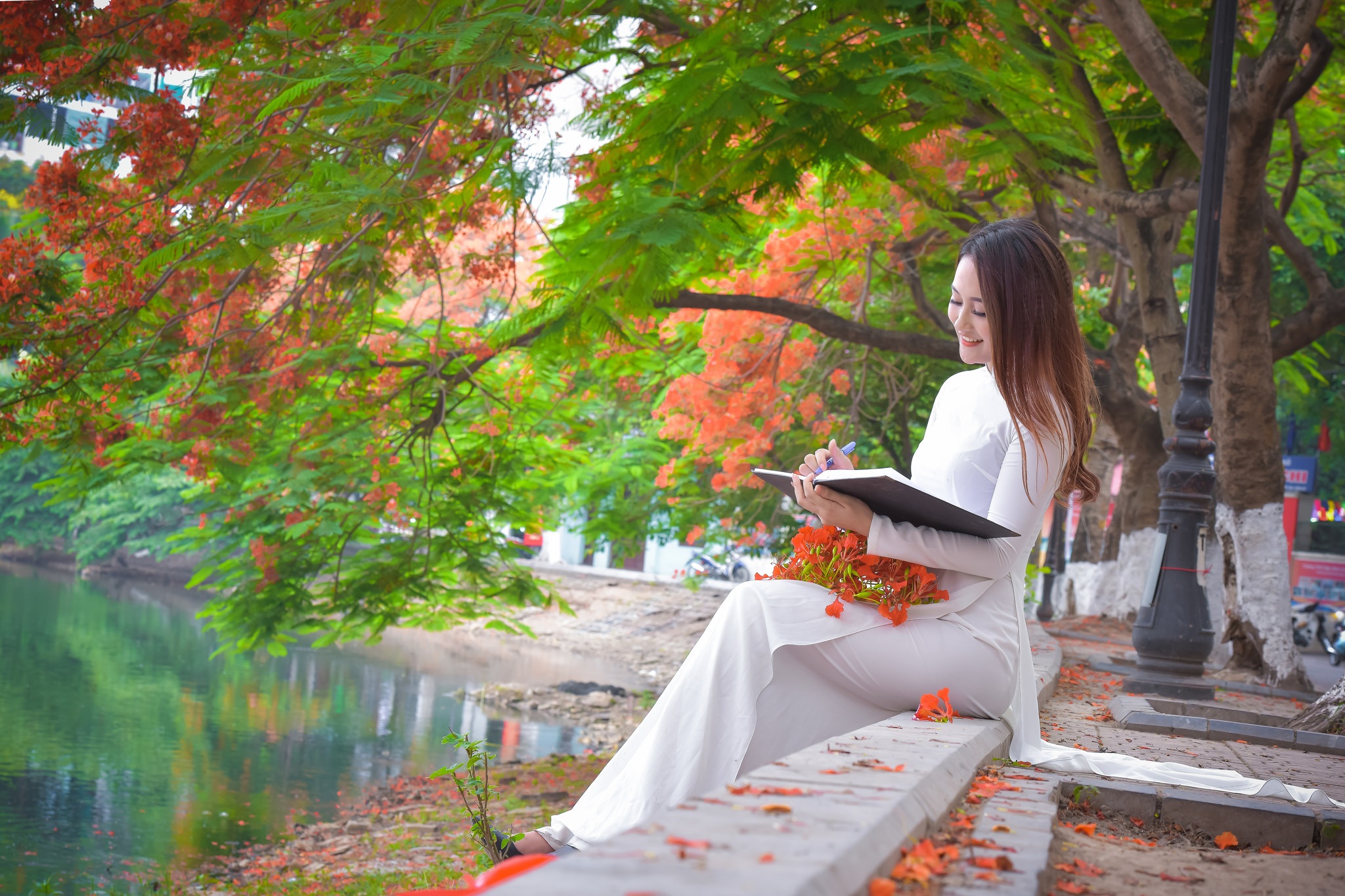 Thiếu nữ Hà thành mơ màng bên hoa phượng "rực cháy" - 18 Thiếu nữ Hà thành mơ màng bên hoa phượng "rực cháy" - 18