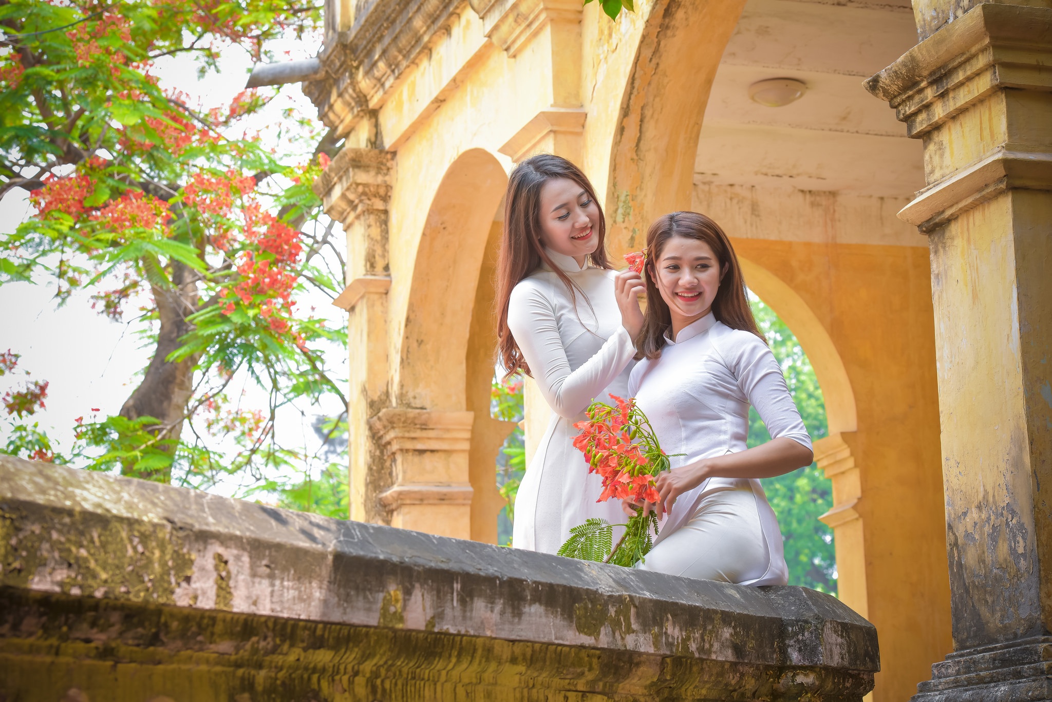 Thiếu nữ Hà thành mơ màng bên hoa phượng "rực cháy" - 21 Thiếu nữ Hà thành mơ màng bên hoa phượng "rực cháy" - 21