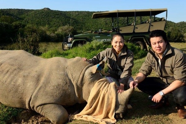 
Thu Minh, Thanh Bùi tích cực kêu gọi bảo vệ tê giác
