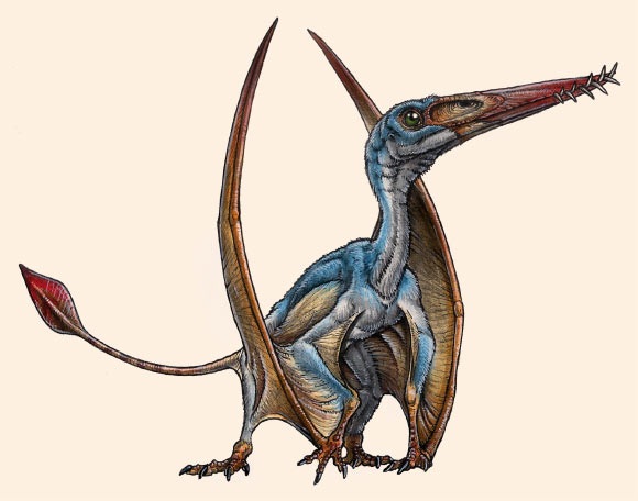 Những gì bạn có thể biết về hộp sọ của thằn lằn Elasmosaurus?
