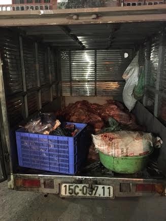 Bắt gần gần 4 tạ thịt lợn không có giấy chứng nhận kiểm dịch - 1
3 tại thịt lợn không có dấu kiểm dịch bị thu giữ