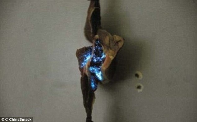 
Miếng thịt phát sáng năm 2011
